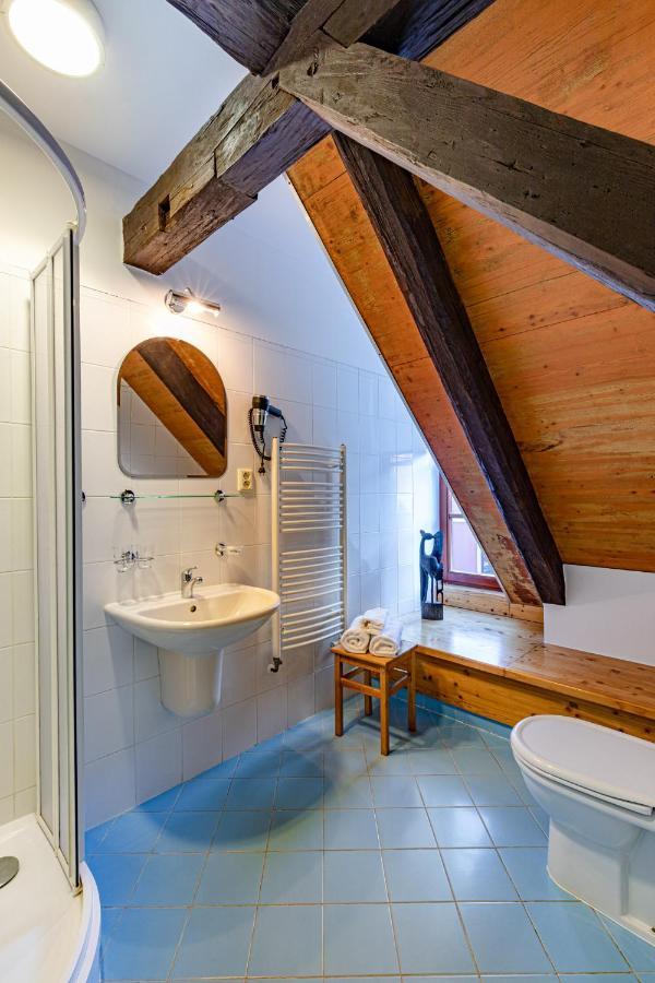 Wellness Hotel Zamecek Jetrichovice  Bilik gambar